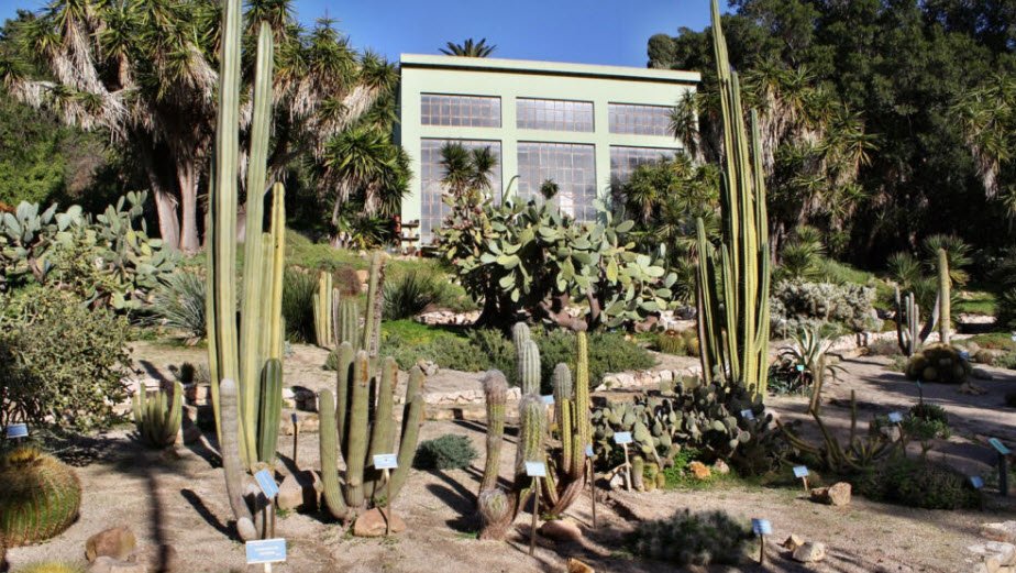 Orto Botanico di Cagliari, Cagliari, Italy, Italy